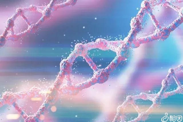 抖音试管奶茶短视频平台内容制作策略研究